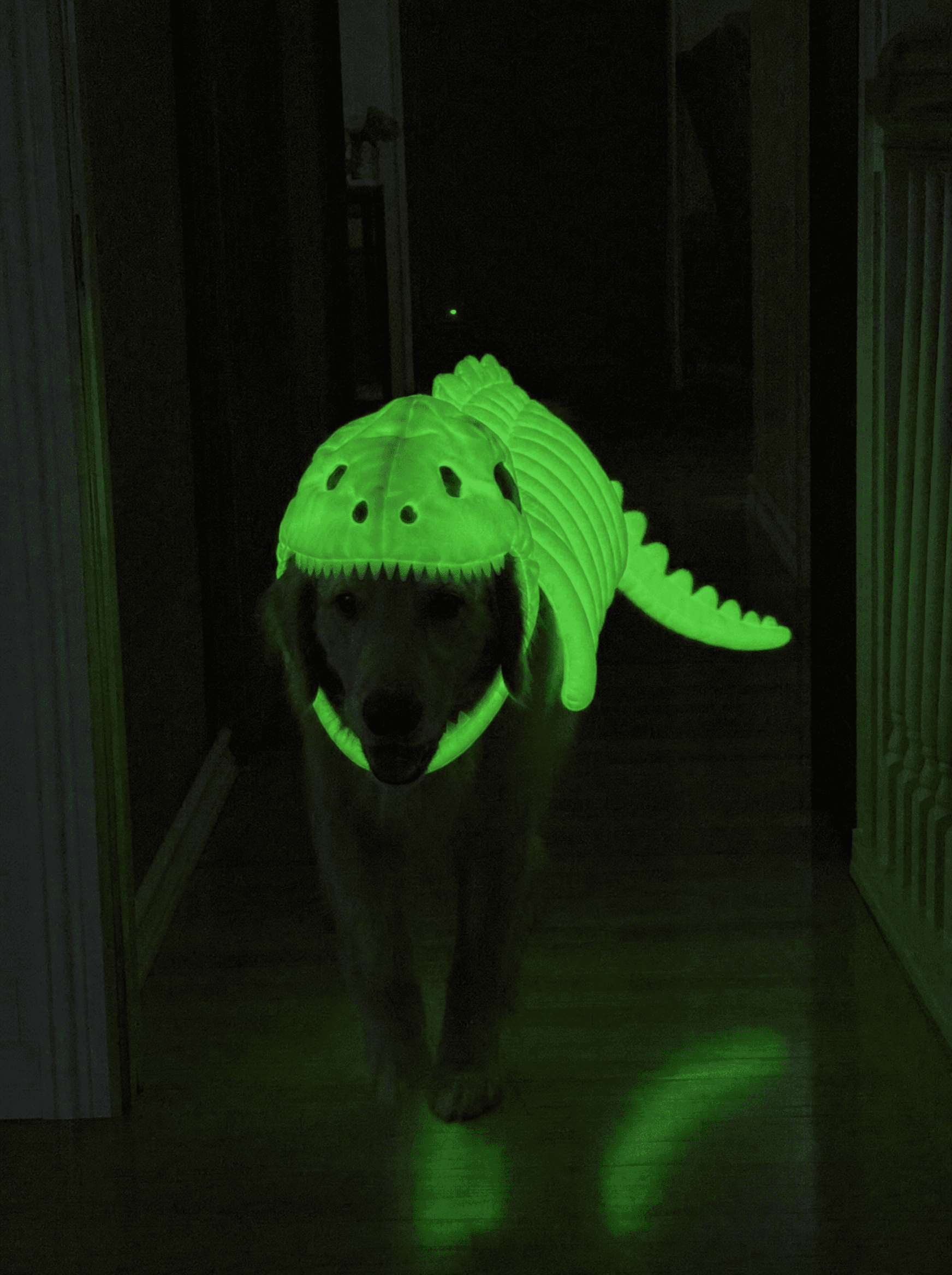 Dino Skeleton Glow Suit 2
